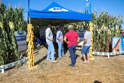 Dia de Campo Coprossel -Evento reuniu produtores, lideranças e empresas parceiras para apresentar tecnologias 